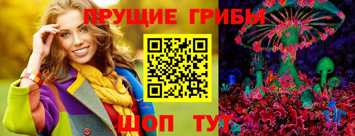 Псилоцибиновые грибы GOLDEN TEACHER Клин